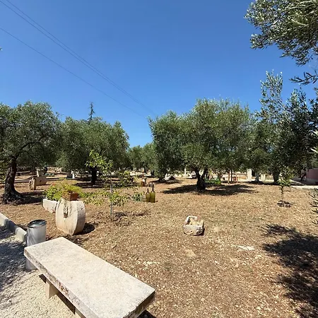 مكان تخييم Agricampeggio Dei Nobili *